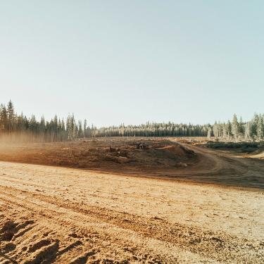 Photo of clear cut land with dust blowing and trees in the background.